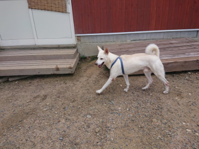 f:id:roukenhome-ann:20190826200739j:plain
