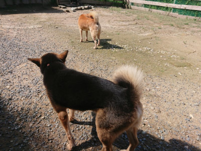 f:id:roukenhome-ann:20190826200800j:plain