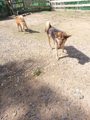 f:id:roukenhome-ann:20190826200821j:plain