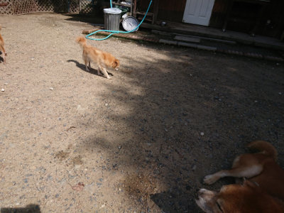 f:id:roukenhome-ann:20190826200826j:plain