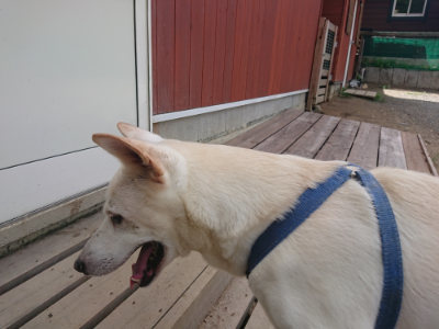 f:id:roukenhome-ann:20190826200931j:plain