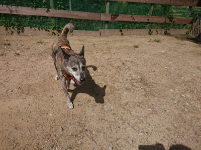 f:id:roukenhome-ann:20190826200937j:plain