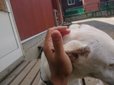 f:id:roukenhome-ann:20190826201004j:plain