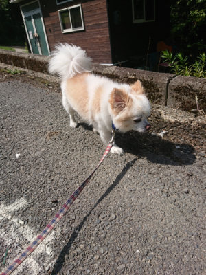 f:id:roukenhome-ann:20190826201014j:plain