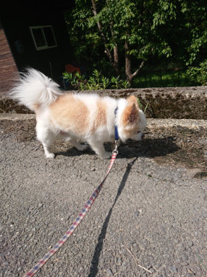 f:id:roukenhome-ann:20190826201020j:plain