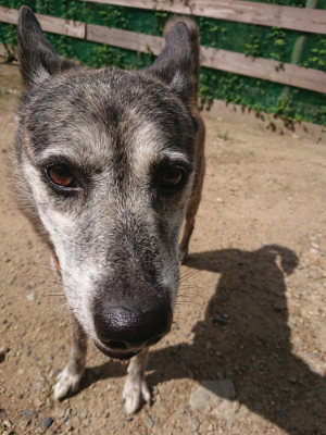 f:id:roukenhome-ann:20190826201026j:plain