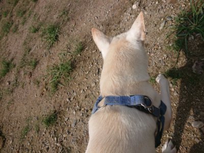 f:id:roukenhome-ann:20190826201103j:plain