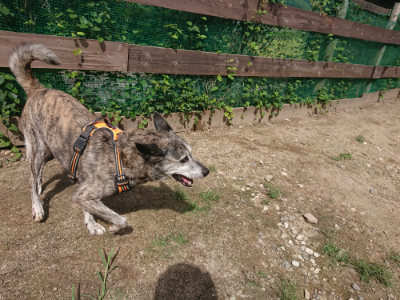 f:id:roukenhome-ann:20190826201149j:plain