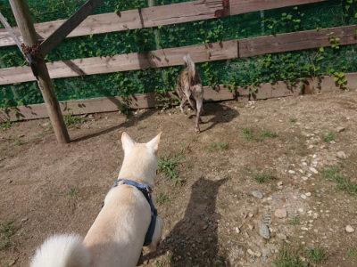 f:id:roukenhome-ann:20190826201158j:plain