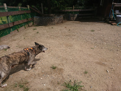 f:id:roukenhome-ann:20190826201209j:plain