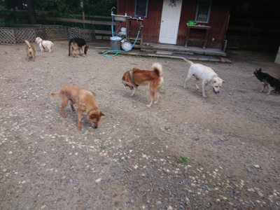 f:id:roukenhome-ann:20190826203732j:plain