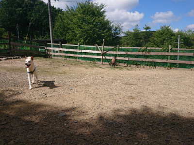 f:id:roukenhome-ann:20190826203808j:plain