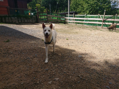f:id:roukenhome-ann:20190826203814j:plain