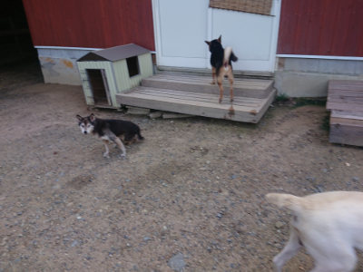 f:id:roukenhome-ann:20190826203820j:plain