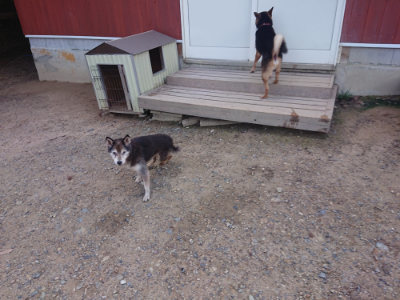 f:id:roukenhome-ann:20190826203827j:plain