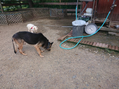 f:id:roukenhome-ann:20190826203834j:plain