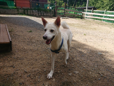 f:id:roukenhome-ann:20190826203839j:plain