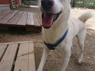 f:id:roukenhome-ann:20190826203846j:plain