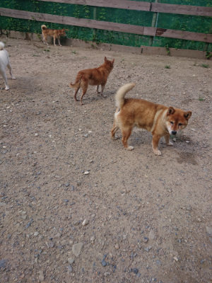 f:id:roukenhome-ann:20190826203852j:plain
