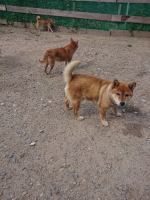 f:id:roukenhome-ann:20190826203859j:plain