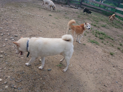 f:id:roukenhome-ann:20190826204005j:plain