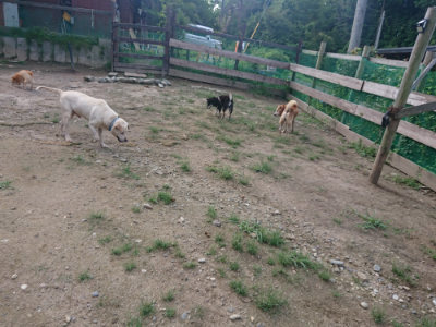 f:id:roukenhome-ann:20190826204014j:plain