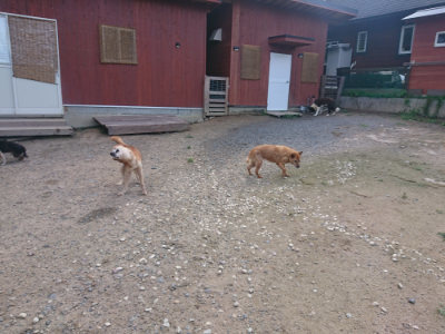 f:id:roukenhome-ann:20190826204023j:plain