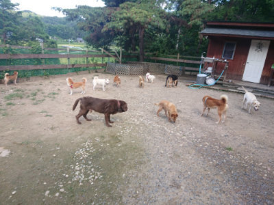 f:id:roukenhome-ann:20190826204124j:plain