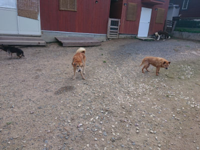 f:id:roukenhome-ann:20190826204130j:plain