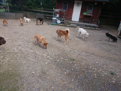 f:id:roukenhome-ann:20190826204137j:plain