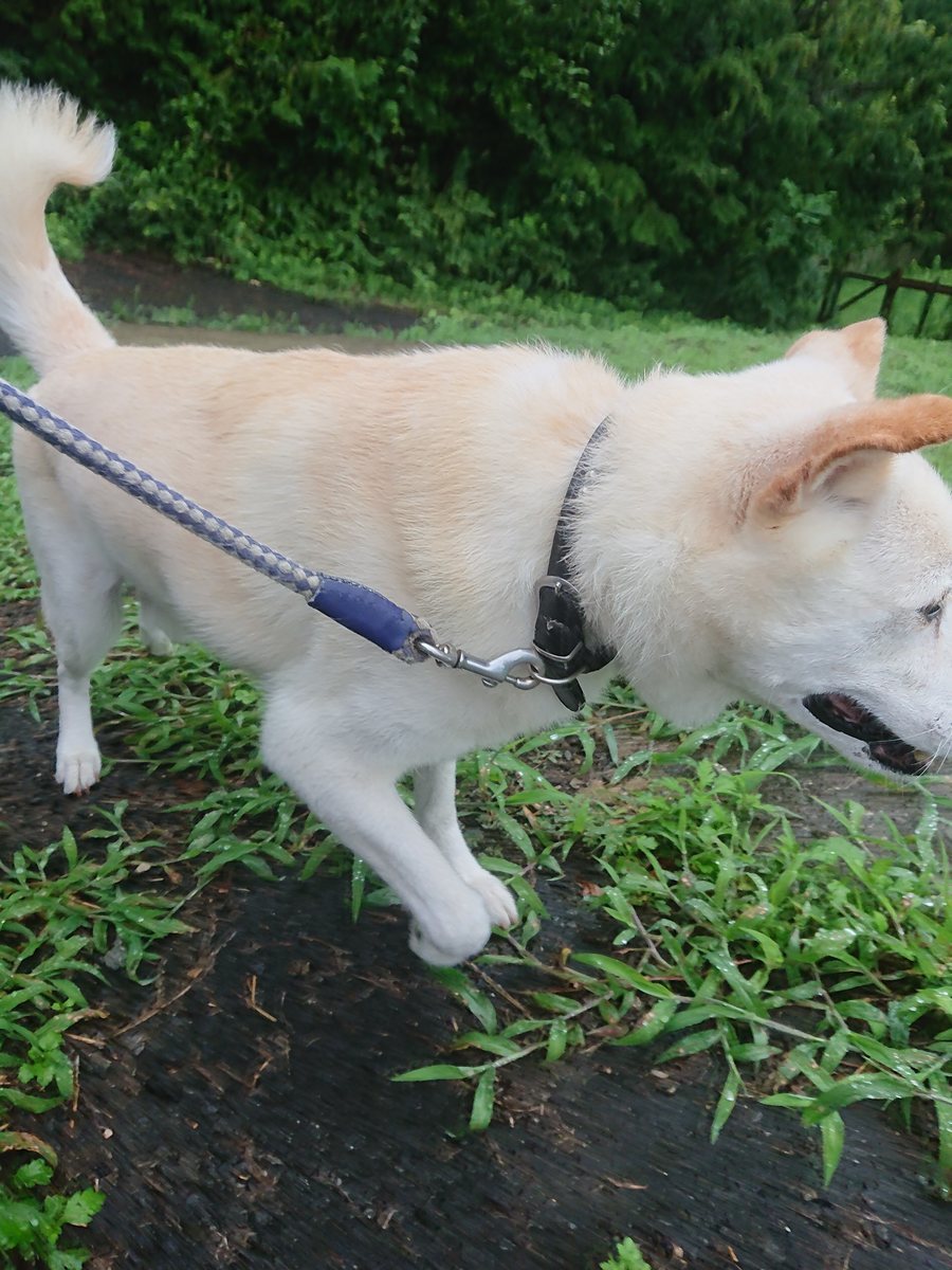f:id:roukenhome-ann:20190827181236j:plain