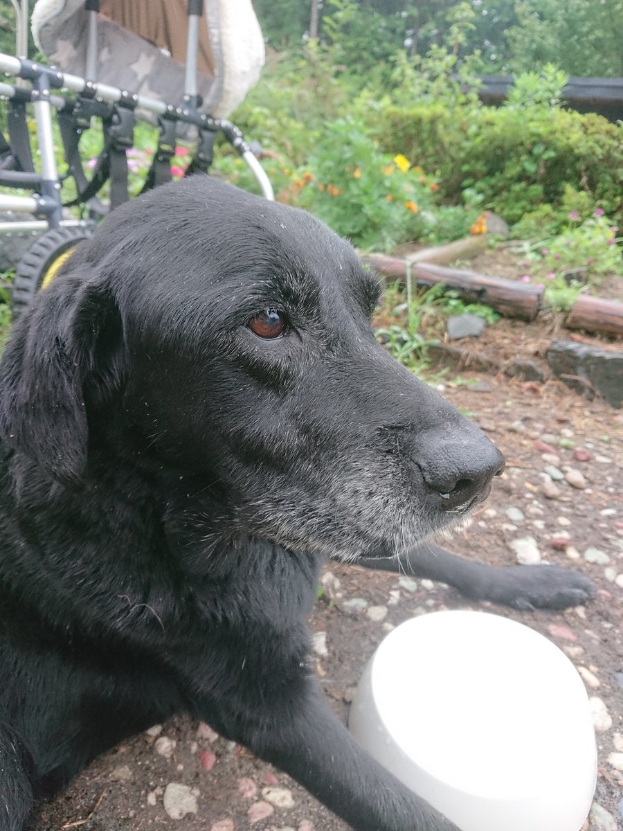 f:id:roukenhome-ann:20190827181741j:plain