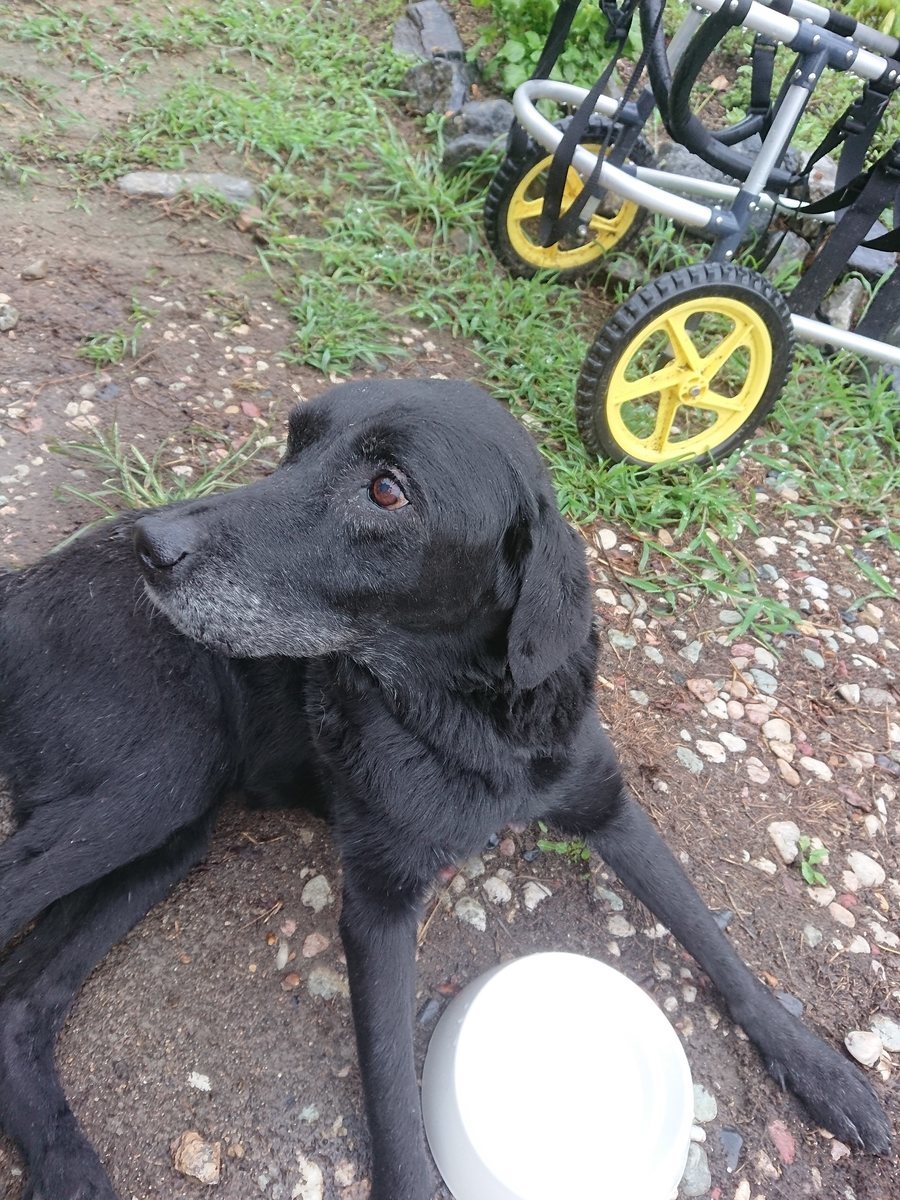f:id:roukenhome-ann:20190827181948j:plain