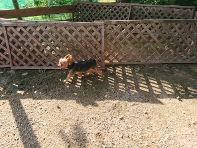 f:id:roukenhome-ann:20190827195205j:plain f:id:roukenhome-ann:20190827195205j:plain