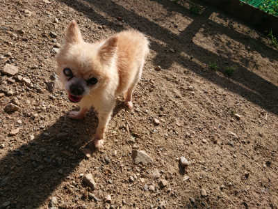 f:id:roukenhome-ann:20190827195436j:plain f:id:roukenhome-ann:20190827195436j:plain