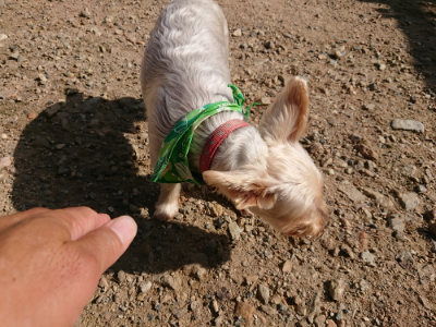 f:id:roukenhome-ann:20190827203114j:plain f:id:roukenhome-ann:20190827203114j:plain