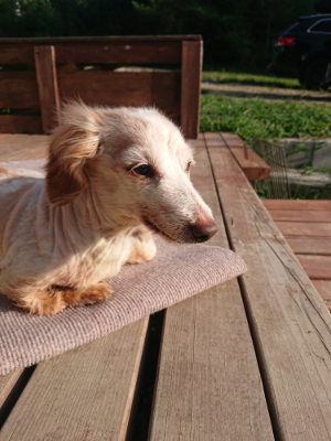 f:id:roukenhome-ann:20190828075036j:plain