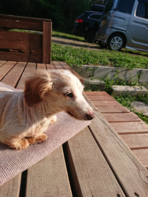 f:id:roukenhome-ann:20190828075042j:plain