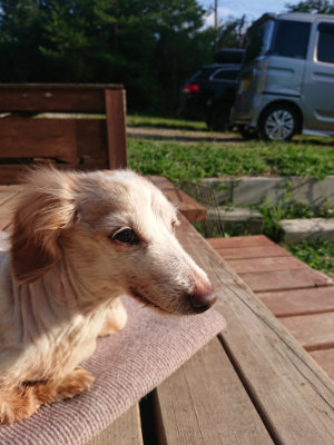 f:id:roukenhome-ann:20190828075048j:plain
