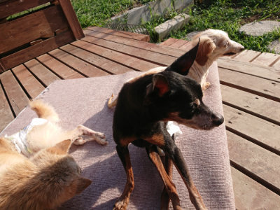 f:id:roukenhome-ann:20190828075054j:plain