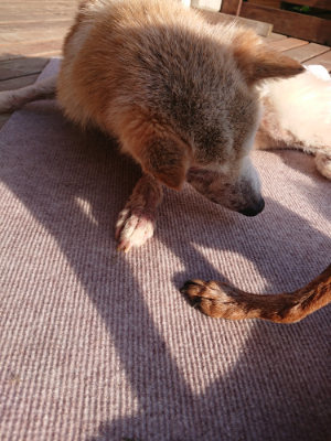 f:id:roukenhome-ann:20190828075155j:plain