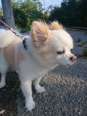 f:id:roukenhome-ann:20190828075229j:plain