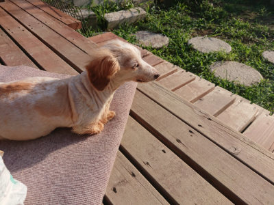 f:id:roukenhome-ann:20190828075245j:plain