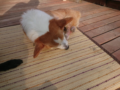 f:id:roukenhome-ann:20190828075257j:plain