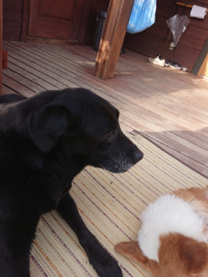 f:id:roukenhome-ann:20190828075332j:plain