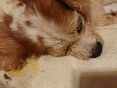 f:id:roukenhome-ann:20190828075416j:plain
