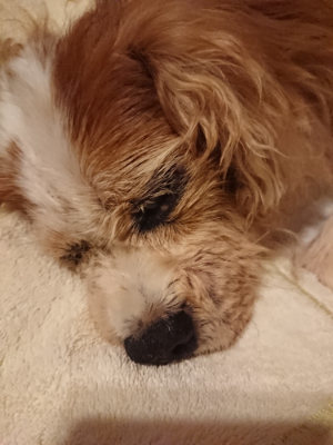f:id:roukenhome-ann:20190828075421j:plain
