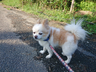 f:id:roukenhome-ann:20190828075445j:plain