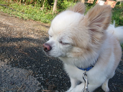 f:id:roukenhome-ann:20190828075447j:plain