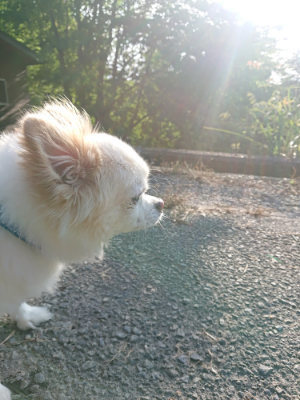 f:id:roukenhome-ann:20190828075450j:plain
